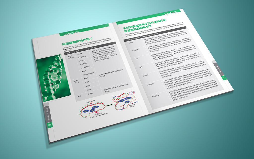 尚丞设计画册作品-挑战集团 复合酶产品画册